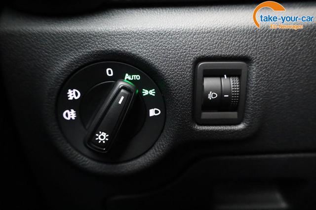 Skoda - Fabia - EU-Neuwagen - Reimport