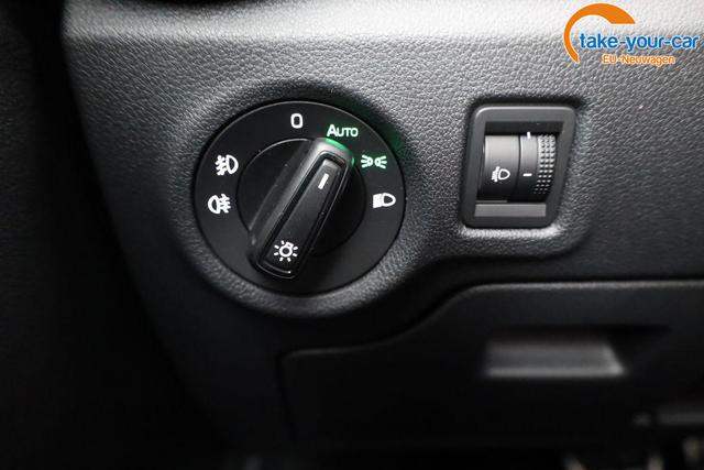 Skoda - Fabia - EU-Neuwagen - Reimport