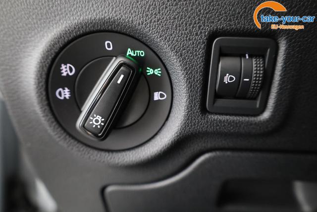 Skoda - Fabia - EU-Neuwagen - Reimport