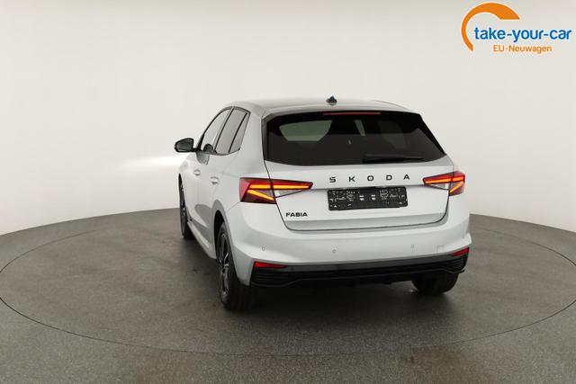 Skoda - Fabia - EU-Neuwagen - Reimport