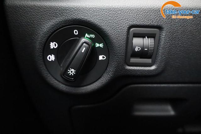 Skoda - Fabia - EU-Neuwagen - Reimport