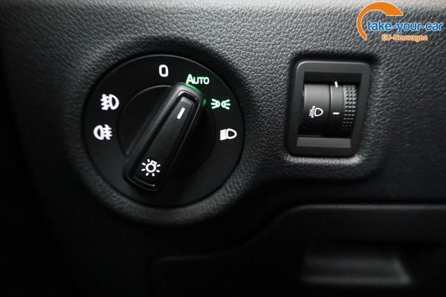 Skoda - Fabia - EU-Neuwagen - Reimport