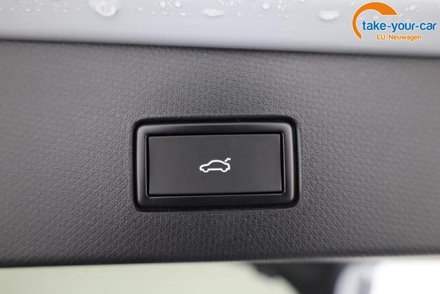 Cupra - Tavascan - EU-Neuwagen - Reimport