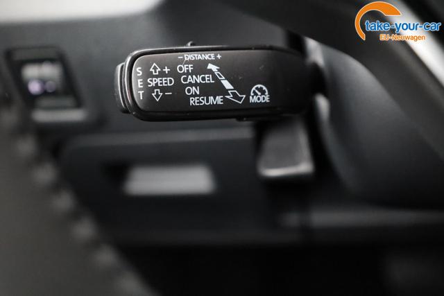 Skoda - Fabia - EU-Neuwagen - Reimport