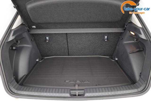 Skoda - Fabia - EU-Neuwagen - Reimport