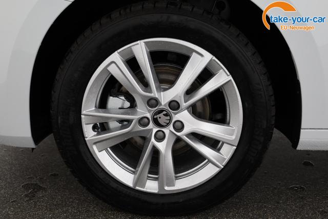 Skoda - Fabia - EU-Neuwagen - Reimport