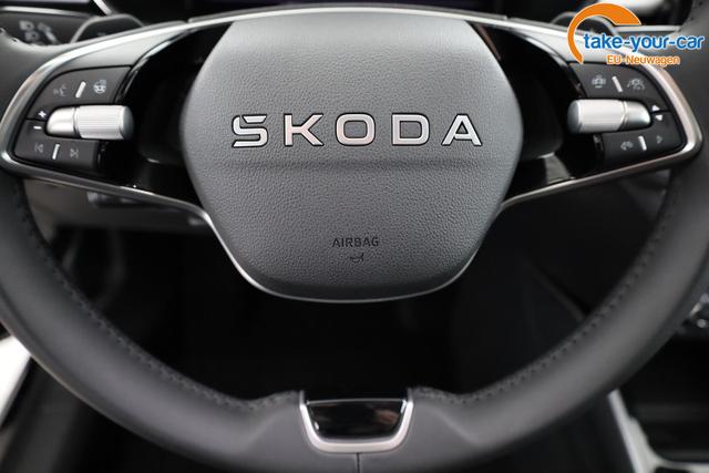 Skoda - Fabia - EU-Neuwagen - Reimport