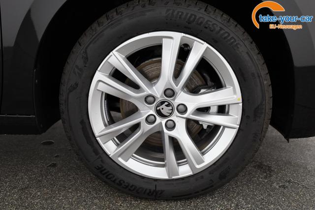 Skoda - Fabia - EU-Neuwagen - Reimport