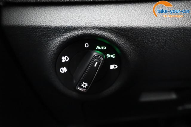 Skoda - Kamiq - EU-Neuwagen - Reimport