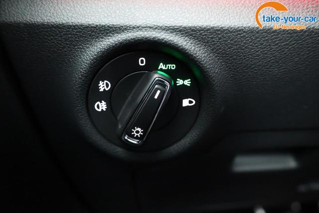 Skoda - Kamiq - EU-Neuwagen - Reimport