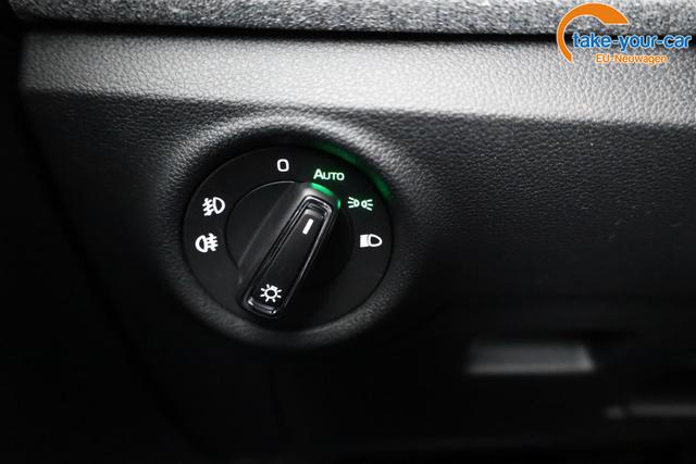 Skoda - Kamiq - EU-Neuwagen - Reimport