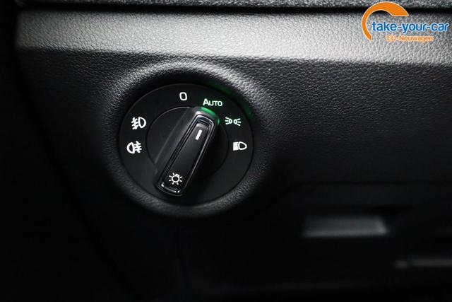 Skoda - Kamiq - EU-Neuwagen - Reimport