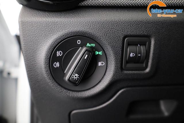 Skoda - Fabia - EU-Neuwagen - Reimport