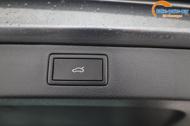 Skoda - Kamiq - EU-Neuwagen - Reimport