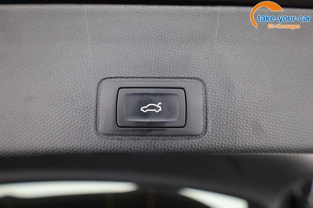 Cupra - Terramar - EU-Neuwagen - Reimport