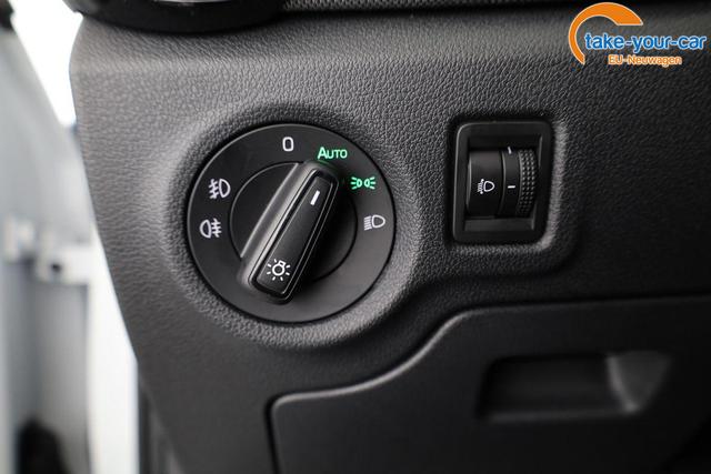 Skoda - Fabia - EU-Neuwagen - Reimport