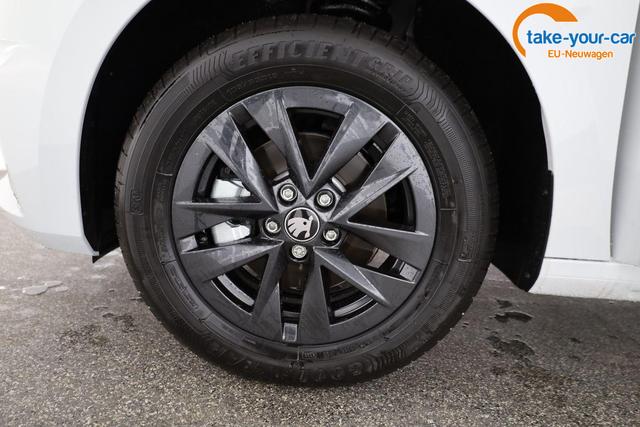 Skoda - Fabia - EU-Neuwagen - Reimport