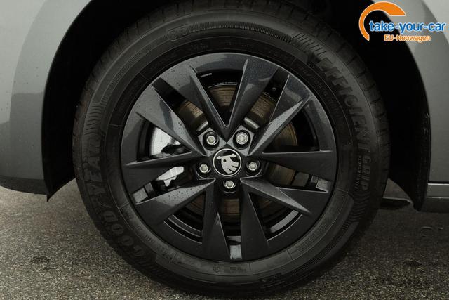 Skoda - Fabia - EU-Neuwagen - Reimport