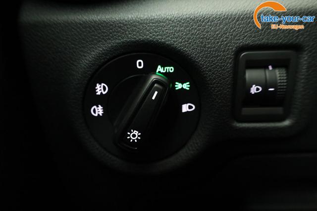 Skoda - Fabia - EU-Neuwagen - Reimport