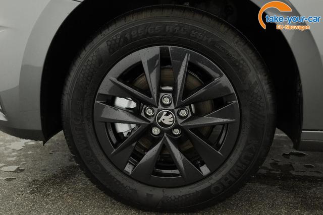 Skoda - Fabia - EU-Neuwagen - Reimport