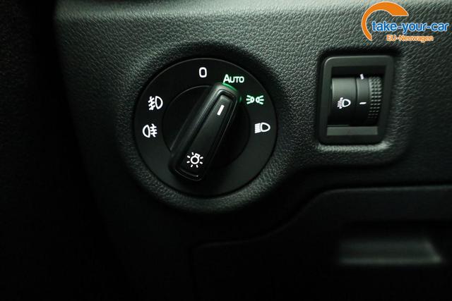 Skoda - Fabia - EU-Neuwagen - Reimport