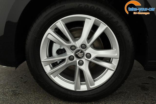 Skoda - Fabia - EU-Neuwagen - Reimport