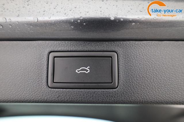 Skoda - Kamiq - EU-Neuwagen - Reimport