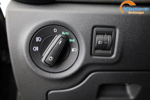 Skoda - Fabia - EU-Neuwagen - Reimport