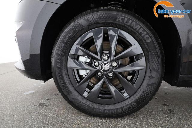 Skoda - Fabia - EU-Neuwagen - Reimport