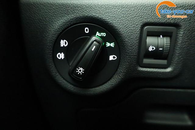 Skoda - Fabia - EU-Neuwagen - Reimport