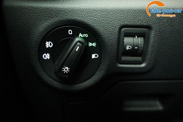 Skoda - Fabia - EU-Neuwagen - Reimport