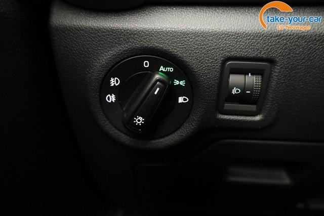 Skoda - Fabia - EU-Neuwagen - Reimport