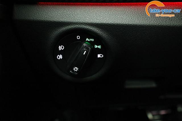 Skoda - Kamiq - EU-Neuwagen - Reimport