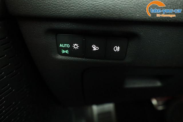 Skoda - Octavia Combi - EU-Neuwagen - Reimport