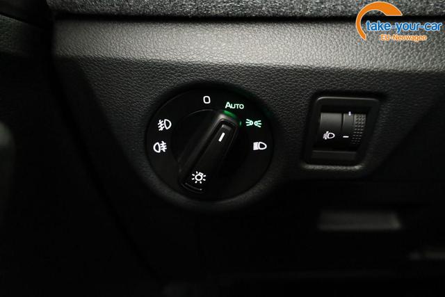 Skoda - Kamiq - EU-Neuwagen - Reimport