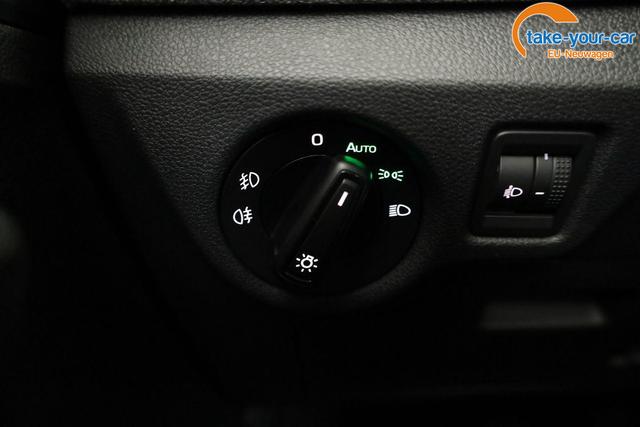 Skoda - Kamiq - EU-Neuwagen - Reimport