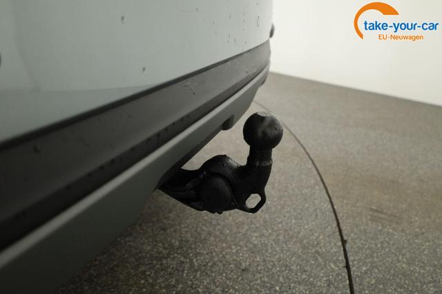 Skoda - Kamiq - EU-Neuwagen - Reimport