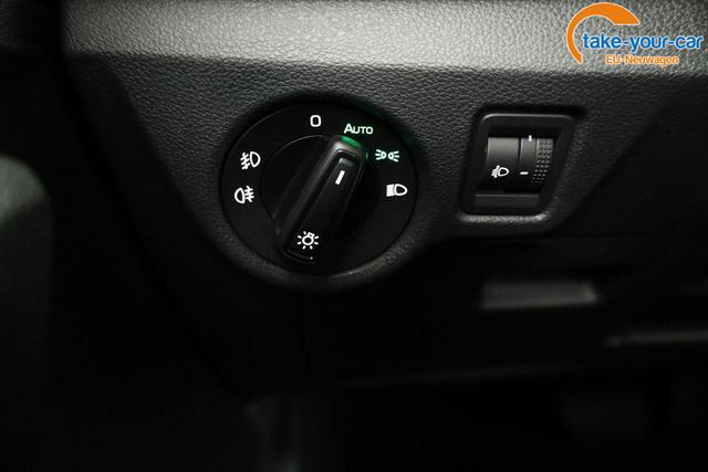 Skoda - Kamiq - EU-Neuwagen - Reimport