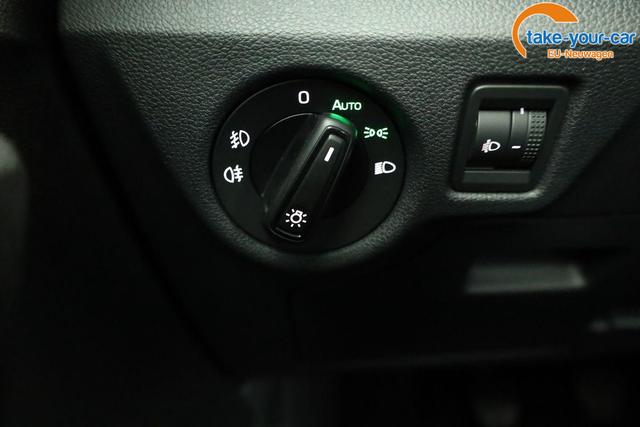 Skoda - Kamiq - EU-Neuwagen - Reimport