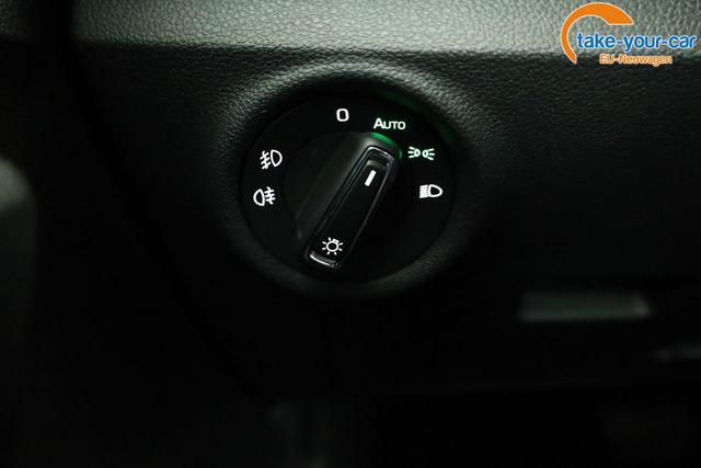 Skoda - Kamiq - EU-Neuwagen - Reimport