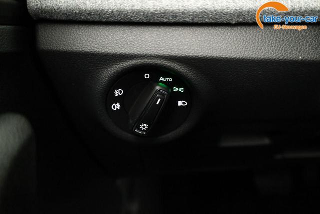 Skoda - Kamiq - EU-Neuwagen - Reimport