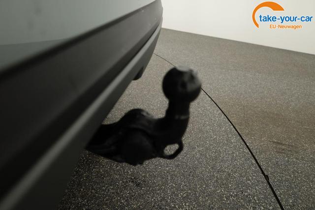 Skoda - Kamiq - EU-Neuwagen - Reimport