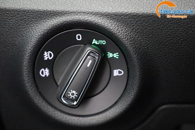Skoda - Kamiq - EU-Neuwagen - Reimport