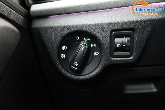 Skoda - Kamiq - EU-Neuwagen - Reimport