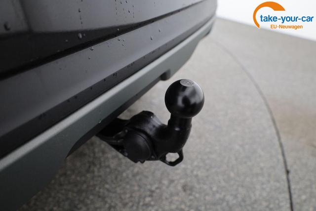 Skoda - Kamiq - EU-Neuwagen - Reimport