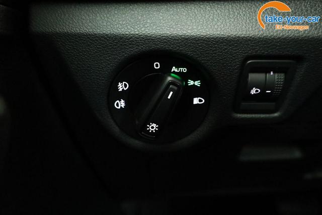 Skoda - Kamiq - EU-Neuwagen - Reimport