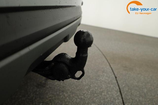 Skoda - Kamiq - EU-Neuwagen - Reimport