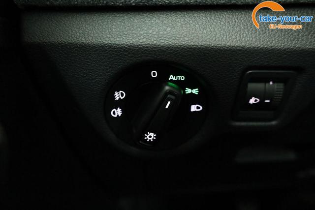 Skoda - Kamiq - EU-Neuwagen - Reimport