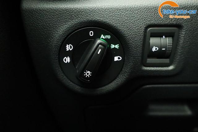 Skoda - Fabia - EU-Neuwagen - Reimport