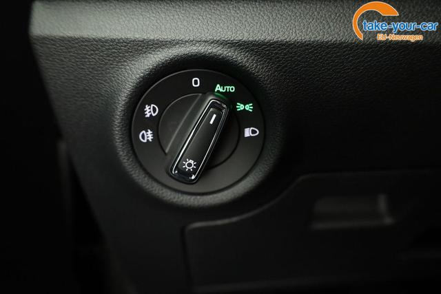 Skoda - Kamiq - EU-Neuwagen - Reimport